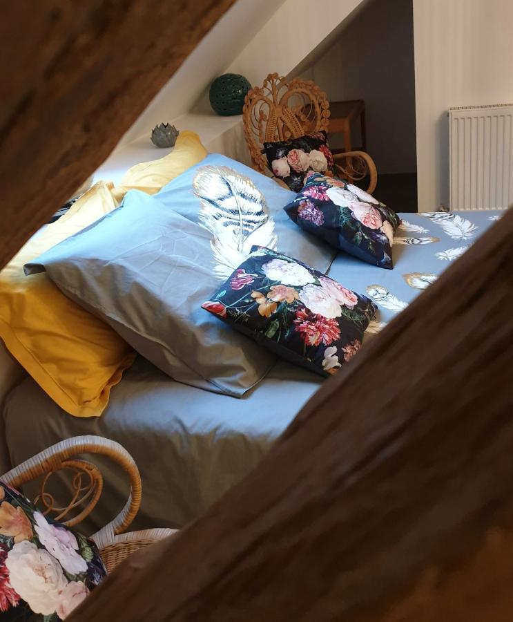 Maison Belenos Nevy-Sur-Seille Екстериор снимка